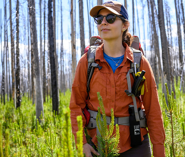 PhD student Arielle Link working in the field at Yellowstone National Park